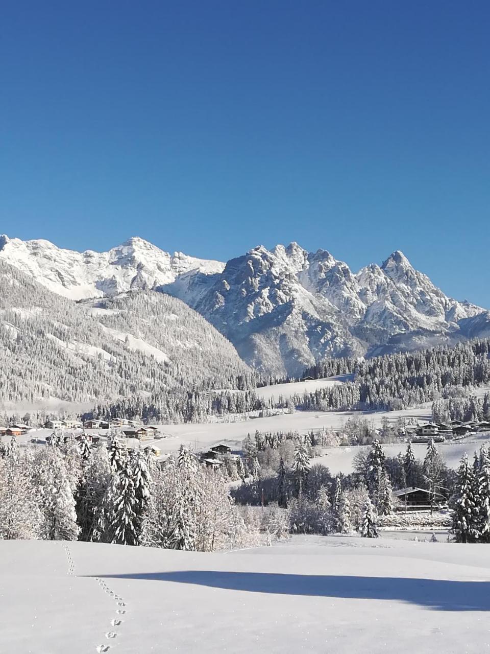 Haus Horngacher Fieberbrunn Exteriör bild