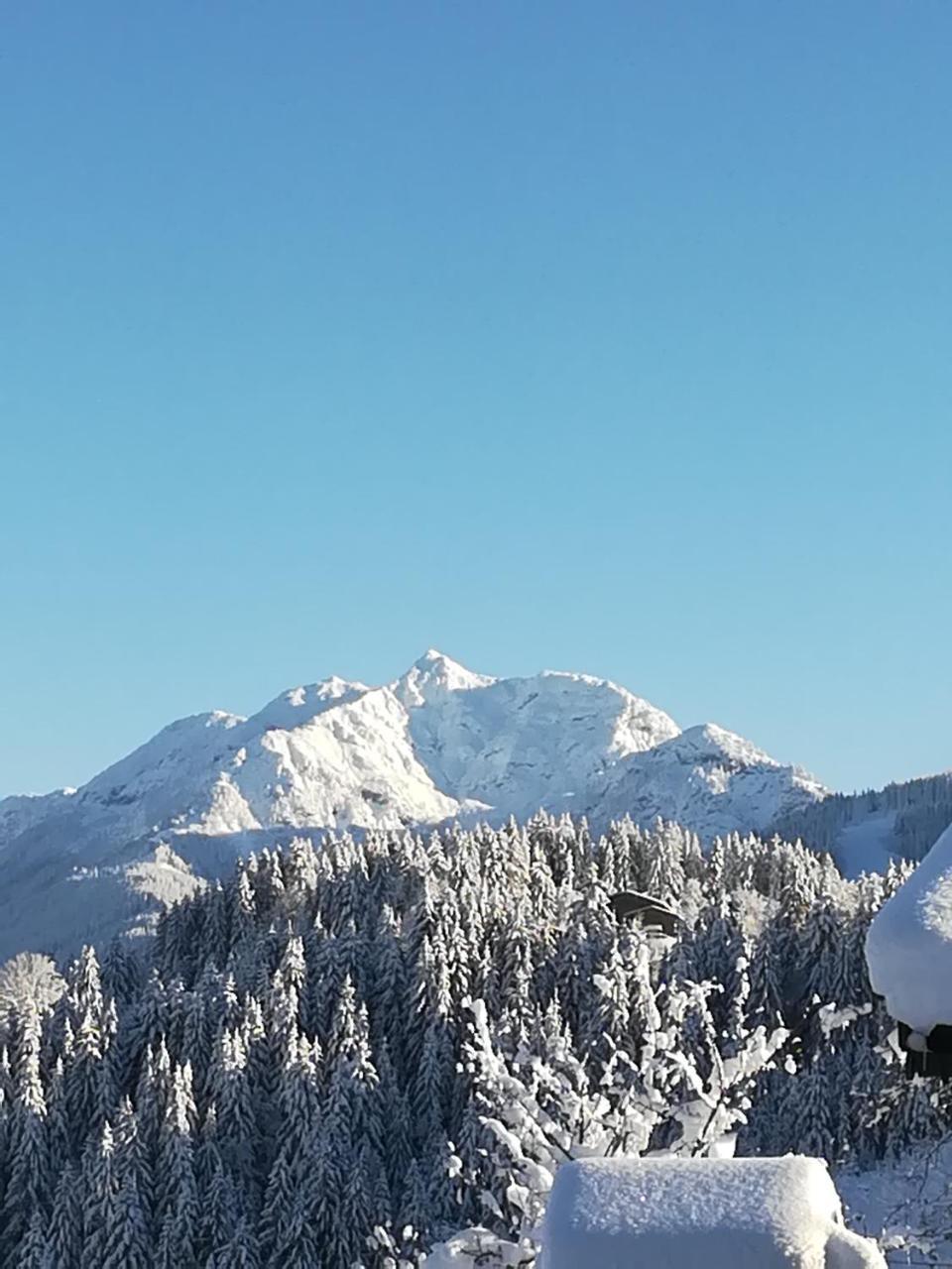 Haus Horngacher Fieberbrunn Exteriör bild